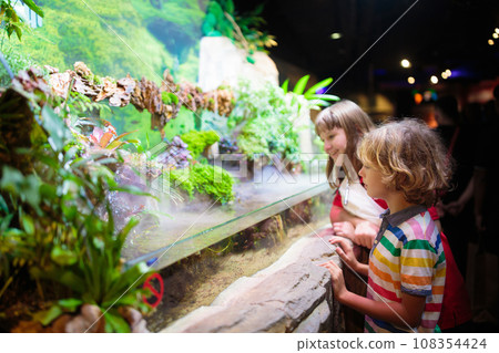 Family in aquarium. Kids watch fish, marine life Family in aquarium. Kids watch fish, marine life 108354424