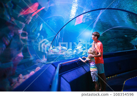 Family in aquarium. Kids watch fish, marine life Family in aquarium. Kids watch fish, marine life 108354596