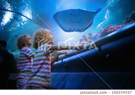 Family in aquarium. Kids watch fish, marine life Family in aquarium. Kids watch fish, marine life 108354597