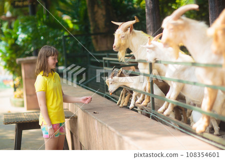 Kids feed animals at petting zoo. 108354601