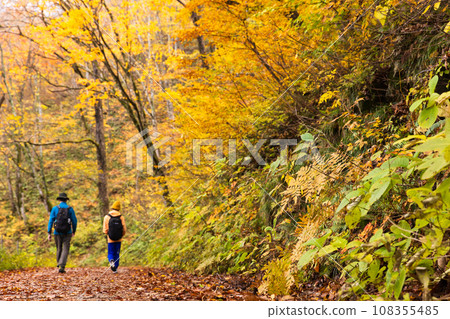 Parent and child hiking through a forest of autumn leaves 108355485