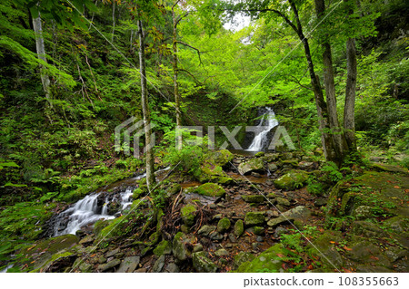 Utsue 48 Falls, Kiyonoki Falls, distant view (Kokufu Town, Takayama City, Gifu Prefecture) 108355663