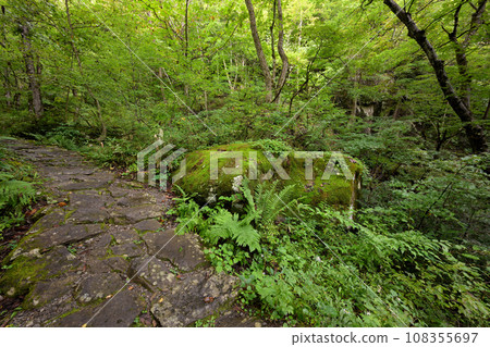 Utsue 48 Waterfalls Negyu Rock (Kokufu Town, Takayama City, Gifu Prefecture) 108355697