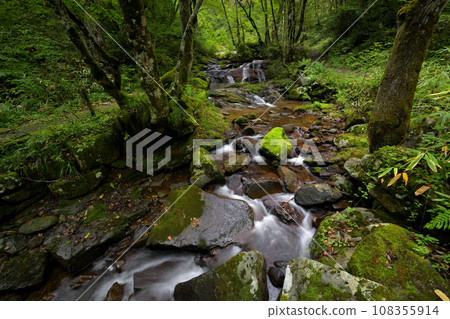 Utsue 48 Falls Asagiri Falls Distant view (Kokufu Town, Takayama City, Gifu Prefecture) Utsue 48 Falls Asagiri Falls Distant view (Kokufu Town, Takayama City, Gifu Prefecture) 108355914