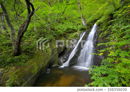 Utsue 48 Waterfalls Aori Falls, Kokufu Town, Takayama City, Gifu Prefecture 108356030