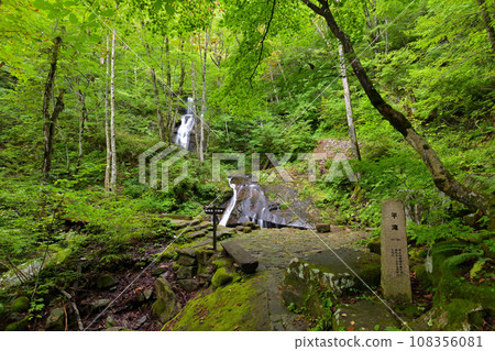 Utsue 48 Falls, Hirataki and Hako Falls visible on the upper level (Kokufu Town, Takayama City, Gifu Prefecture) 108356081