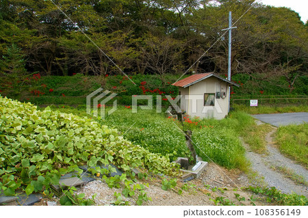 風景與鄉村溪流 108356149