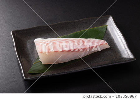 [From Ehime Prefecture] Red sea bream for sashimi (farmed) 108356967