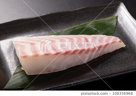 [From Ehime Prefecture] Red sea bream for sashimi (farmed) 108356968