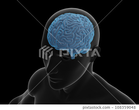 人體和大腦透明/藍色/傾斜視圖 108359048