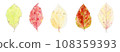 A set of autumn leaves painted in watercolor 108359393