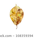 Yellow fallen leaves painted in watercolor 108359394