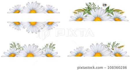 Set of watercolor floral banners, composition of wildflowers and plants drawn on white background. White daisies, green leaves, bumblebee, ears of wheat. To decorate your design, corporate identity Set of watercolor floral banners, composition of wildflowers and plants drawn on white background. White daisies, green leaves, bumblebee, ears of wheat. To decorate your design, corporate identity 108360286