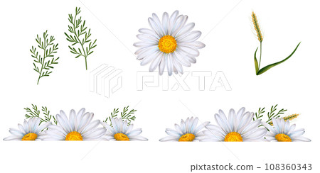 Set of watercolor floral banners, composition of wildflowers and plants drawn on white background. White daisies, green leaves, bumblebee, ears of wheat. To decorate your design, corporate identity Set of watercolor floral banners, composition of wildflowers and plants drawn on white background. White daisies, green leaves, bumblebee, ears of wheat. To decorate your design, corporate identity 108360343