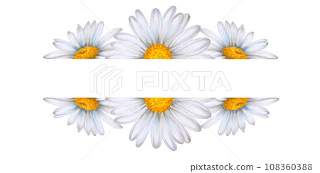 Set of watercolor floral banners, composition of wildflowers and plants drawn on white background. White daisies, green leaves, bumblebee, ears of wheat. To decorate your design, corporate identity 108360388
