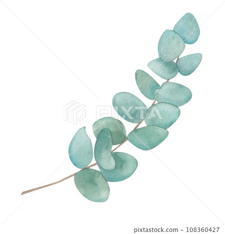 Watercolor green bouquet with eucalyptus leaves and branches. Green leaf hand-painted isolated. Can be used as an element of decorative design of invitations, wedding or greeting cards Watercolor green bouquet with eucalyptus leaves and branches. Green leaf hand-painted isolated. Can be used as an element of decorative design of invitations, wedding or greeting cards 108360427