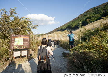 仙石原薄木草原風光 108360557