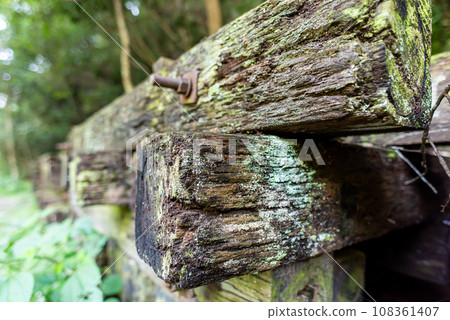 Abandoned wood (Takedao, former Fukuchiyama Line abandoned line site) 108361407