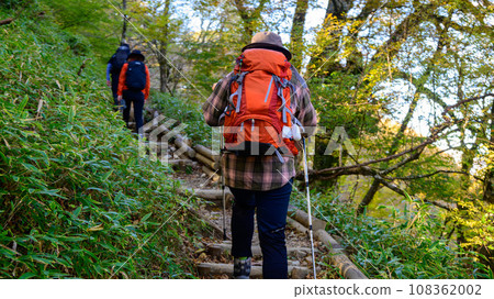 Climber walking through a forest with autumn leaves Climber walking through a forest with autumn leaves 108362002