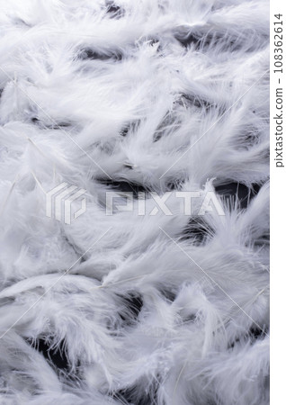 Background image of feathers Background image of feathers 108362614