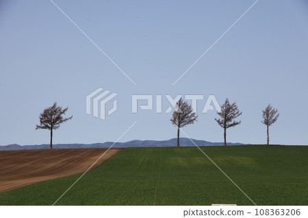 童話山風景_大空町 108363206