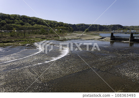 Tama River seen from Hamura Intake Weir (Todo Weir) in Hamura City, Tokyo, April 2023 108363493