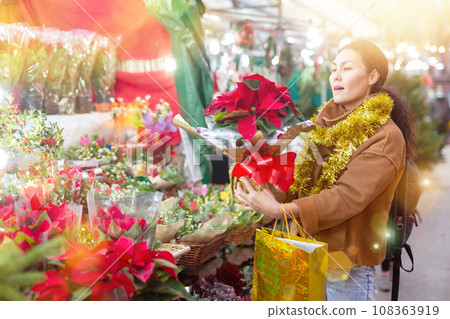 Woman with poinsettia at christmas fair Woman with poinsettia at christmas fair 108363919