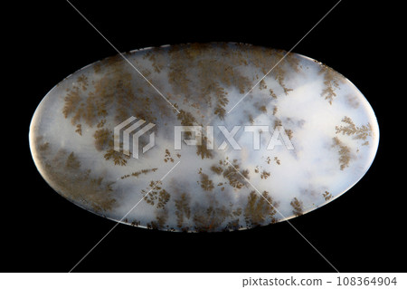 Dendritic Agate A stone that harbors landscapes Dendritic Agate A stone that harbors landscapes 108364904