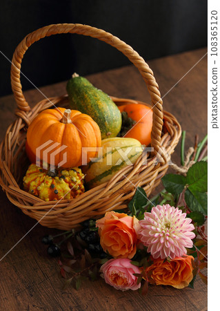 萬聖節安排 萬聖節安排 108365120