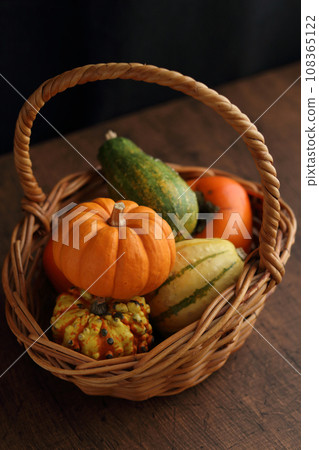 萬聖節南瓜 萬聖節南瓜 108365122