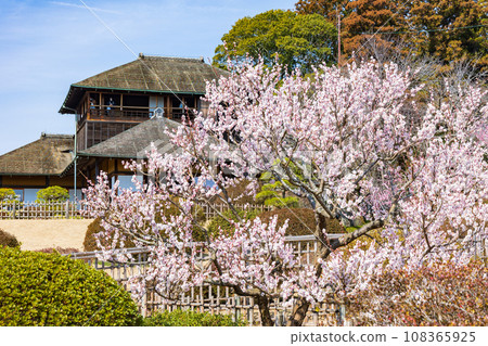 One of Japan's top three gardens, a famous place for plum blossoms, Mito's Kairakuen, Kobun-tei 108365925