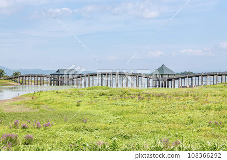青森縣鶴田町的熱門旅遊景點：晴天的鶴舞橋 108366292