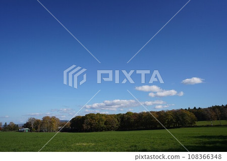 秋天陽光明媚的草地 108366348