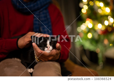 Close-up image of a cute cat lying on his owner's lap, being petted by his owner. Close-up image of a cute cat lying on his owner's lap, being petted by his owner. 108366524