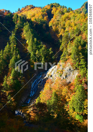 白山白川鄉白之路 姥瀧 秋葉 108366697