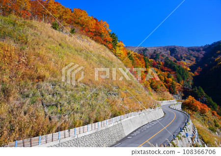 白山白川鄉白道 紅葉 國見展望台 108366706