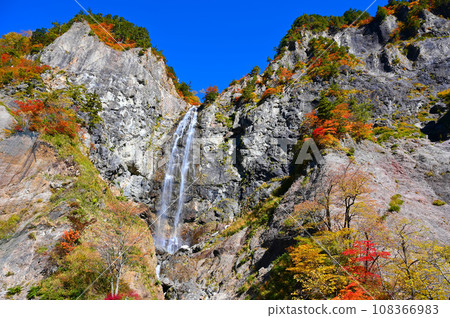 白山白川鄉白之路 福部大瀧 秋葉 白山白川鄉白之路 福部大瀧 秋葉 108366983