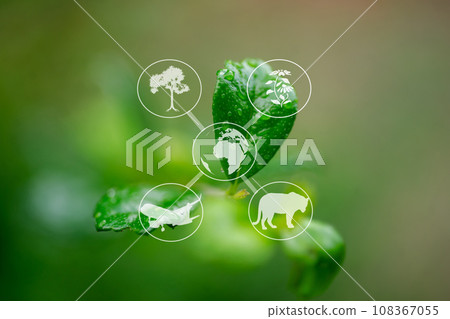 Ecosystem and preserve nature and sustainable 108367055