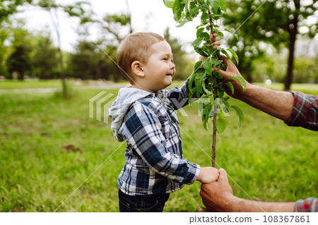 Planting family tree. Little boy helping his grandfather to plant tree. Fun little gardener. Planting family tree. Little boy helping his grandfather to plant tree. Fun little gardener. 108367861