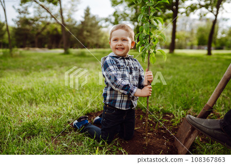 Planting family tree. Little boy helping his grandfather to plant tree. Fun little gardener. Planting family tree. Little boy helping his grandfather to plant tree. Fun little gardener. 108367863