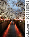 Cherry blossoms at night along the Mekuro River 01 108368561
