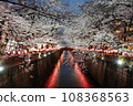 Cherry blossoms at night along the Mekuro River 02 108368563