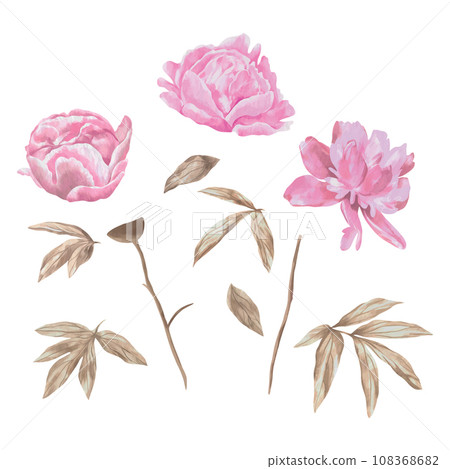Pink peonies, flowers and leaves. Vector illustration. Watercolor. Greeting cards, wedding invitations, covers, newborn baby shower, Valentine's day. Pink peonies, flowers and leaves. Vector illustration. Watercolor. Greeting cards, wedding invitations, covers, newborn baby shower, Valentine's day. 108368682