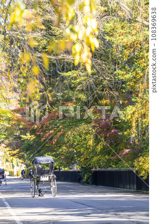 Autumn Kakunodate Samurai Residence Street, Rickshaw and autumn leaves, Semboku City, Akita Prefecture Autumn Kakunodate Samurai Residence Street, Rickshaw and autumn leaves, Semboku City, Akita Prefecture 108369638