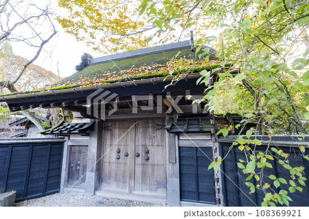 Autumn Kakunodate Samurai Residence Street (Aoyagi House) Scenery of the beginning of autumn leaves, Semboku City, Akita Prefecture Autumn Kakunodate Samurai Residence Street (Aoyagi House) Scenery of the beginning of autumn leaves, Semboku City, Akita Prefecture 108369921