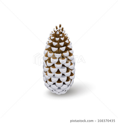 Fir Cone Fir Cone 108370435