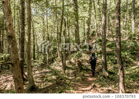 Girl hiking in the Forest near lake in La Mauricie National Park Quebec, Canada on a beautiful day 108370793