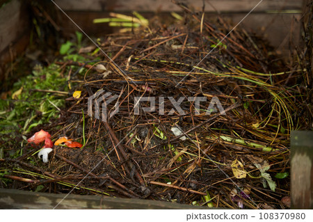 Compost bin in the garden. Food biodegradable waste is composting and recycling in organic fertilizer for soil. Compost bin in the garden. Food biodegradable waste is composting and recycling in organic fertilizer for soil. 108370980