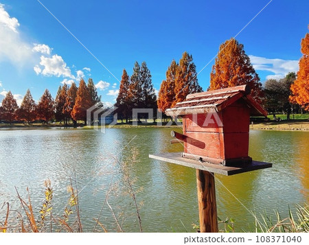 有池塘和水杉樹的公園 108371040