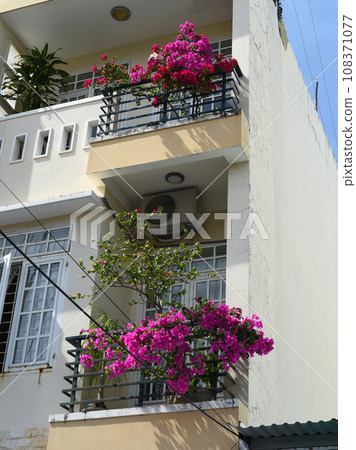 Balconies with pink bush in Nha Trang Vietnam Balconies with pink bush in Nha Trang Vietnam 108371077